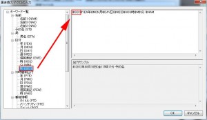 Radikaの説明25